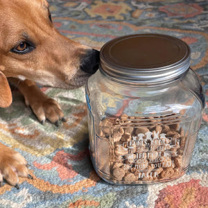 Bones, Bones The Magical Treat The More You Beg The More You Eat Etched Treat Jar with Screw Top Lid